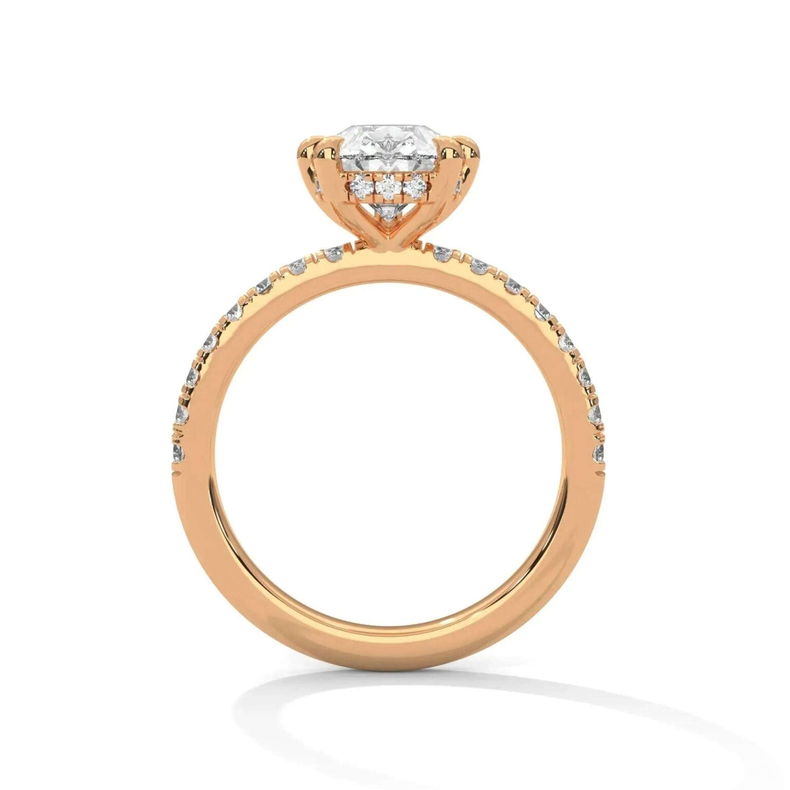 the sun belt setting