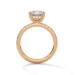 the sun belt setting