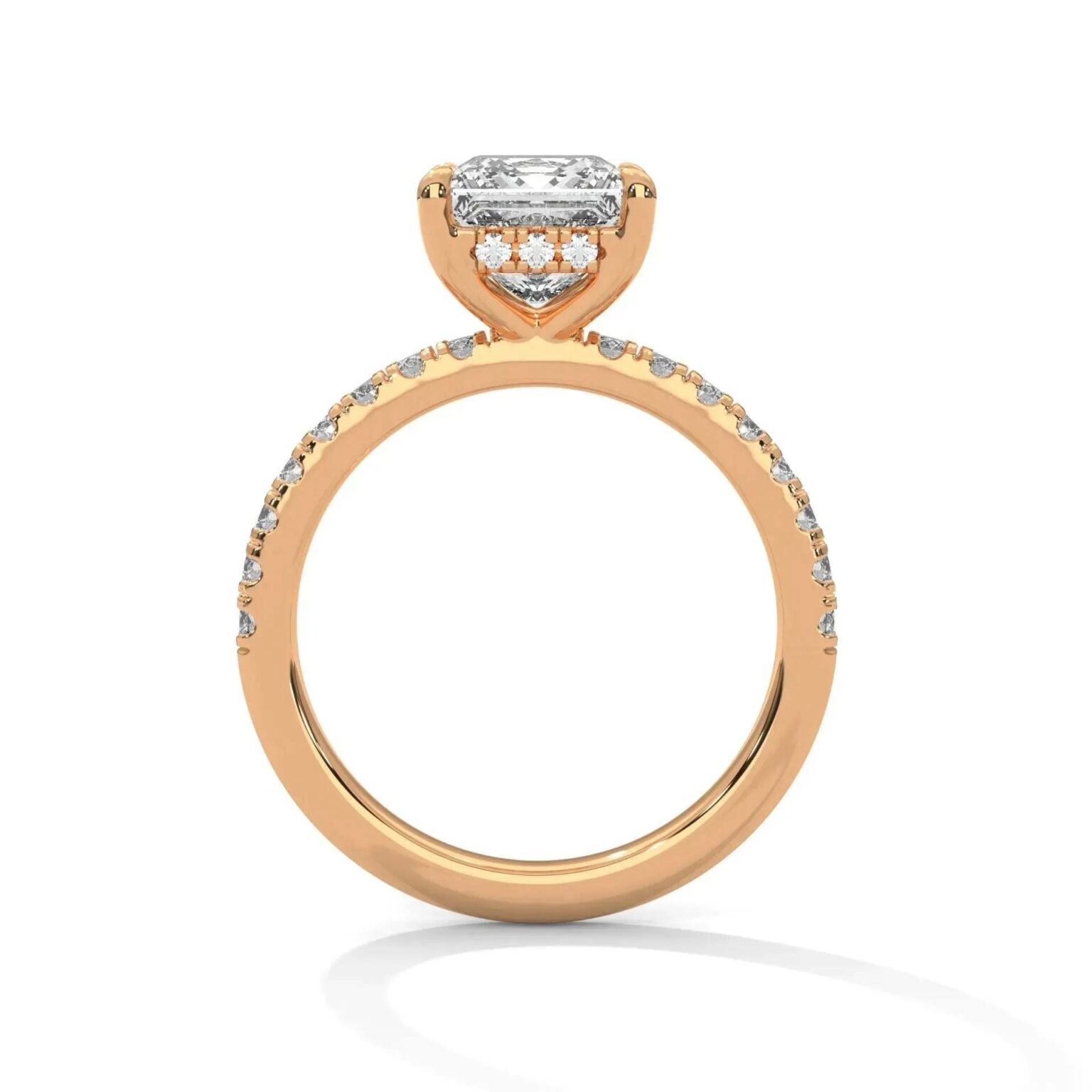 the sun belt setting