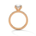 the sun belt setting