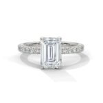 the sun belt setting