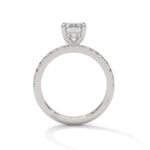 the sun belt setting