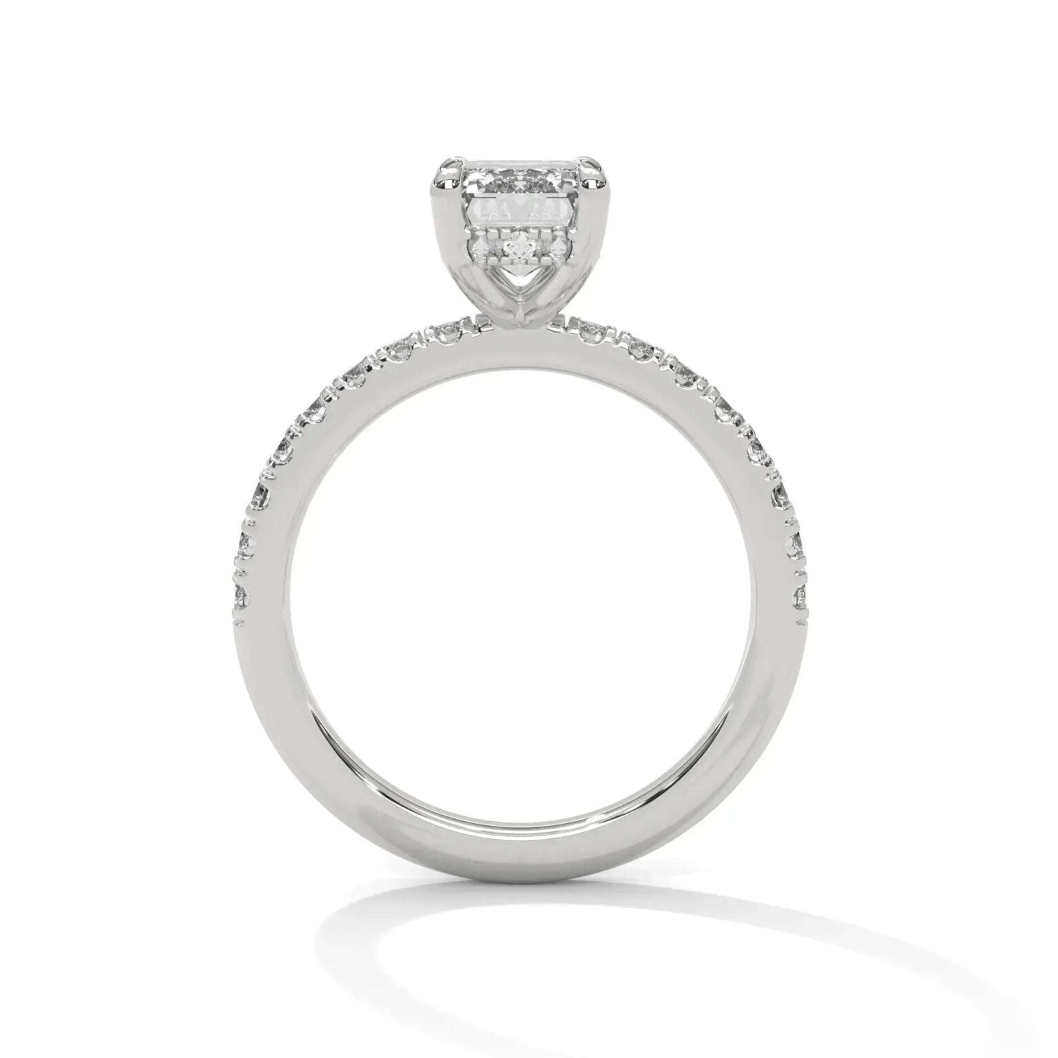 the sun belt setting