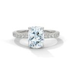 the sun belt setting