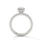 the sun belt setting