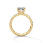 the sun belt setting