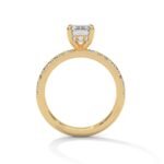 the sun belt setting