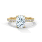 the sun belt setting