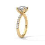 the sun belt setting