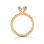 the sun belt setting